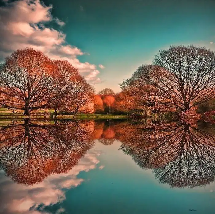 cute beautiful nature profile picture cute beautiful nature profile picture